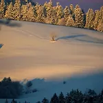 Schwarzwald - Karlshuette شقة فورتفاغن