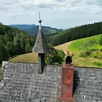 Schwarzwald - Karlshuette شقة *