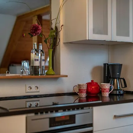 Schwarzwald - Karlshuette Appartement