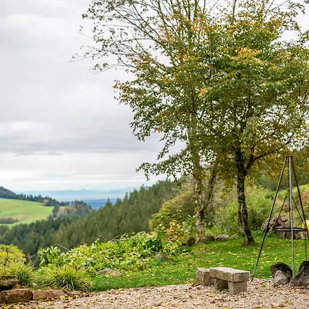 Schwarzwald - Karlshuette * Furtwangen im Schwarzwald