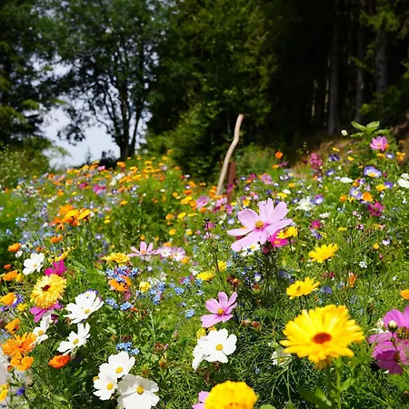Appartamento Schwarzwald - Karlshuette